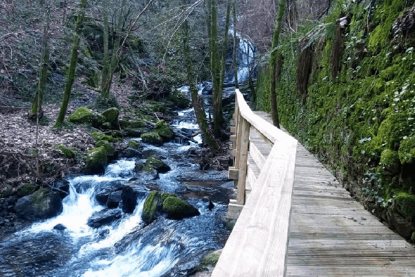 Passadiços de Vizela